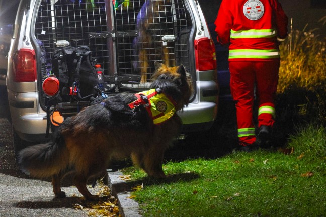 Such- und Rettungshunde bei Suche nach abg�ngiger Person aus Altenheim in Leonding im Einsatz