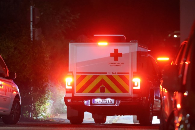 Such- und Rettungshunde bei Suche nach abg�ngiger Person aus Altenheim in Leonding im Einsatz