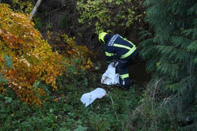 Traktor bei St. Agatha in Bachbett des Freyentalerbachs gest�rzt - Traktorlenker lag verletzt am Weg