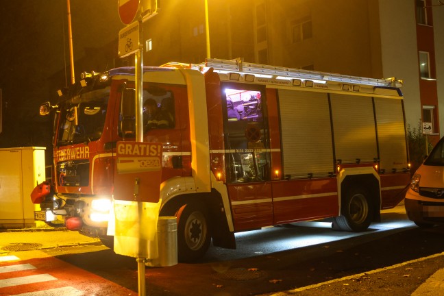 Tierrettung: Kater durch Einsatzkr�fte der Feuerwehr in Wels-Lichtenegg vom Nachbarbalkon gerettet