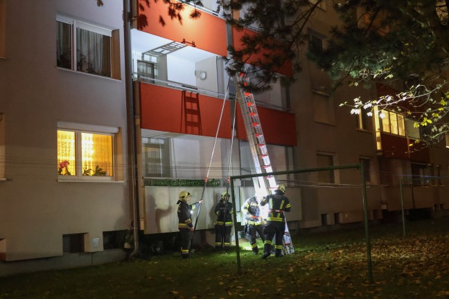 Tierrettung: Kater durch Einsatzkr�fte der Feuerwehr in Wels-Lichtenegg vom Nachbarbalkon gerettet