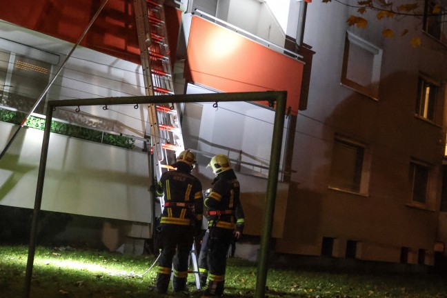 Tierrettung: Kater durch Einsatzkr�fte der Feuerwehr in Wels-Lichtenegg vom Nachbarbalkon gerettet