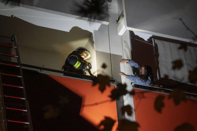 Tierrettung: Kater durch Einsatzkr�fte der Feuerwehr in Wels-Lichtenegg vom Nachbarbalkon gerettet