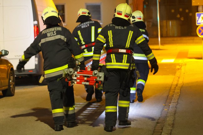Tierrettung: Kater durch Einsatzkr�fte der Feuerwehr in Wels-Lichtenegg vom Nachbarbalkon gerettet