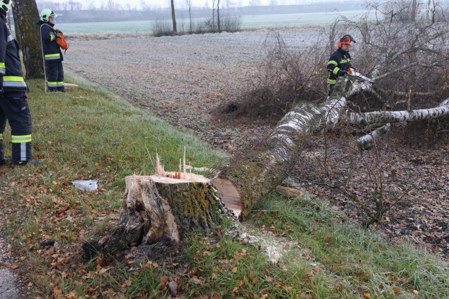 Autolenkerin in Wels-Puchberg mit PKW von Stra�e abgekommen und gegen Baum geprallt
