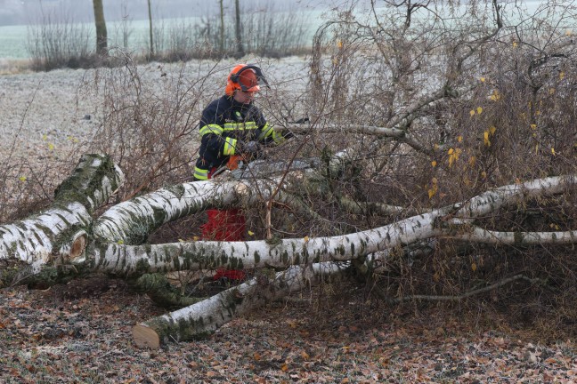 Autolenkerin in Wels-Puchberg mit PKW von Stra�e abgekommen und gegen Baum geprallt