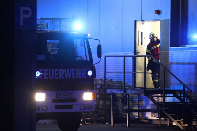 Brand bei einem Unternehmen in Wels-Lichtenegg sorgte f�r Einsatz zweier Feuerwehren