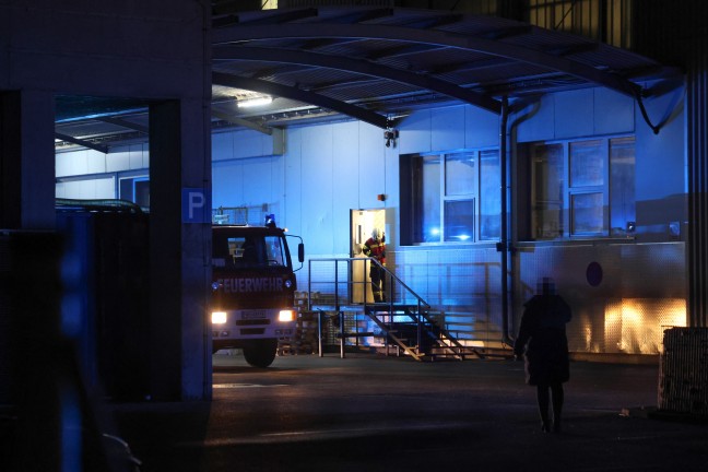 Brand bei einem Unternehmen in Wels-Lichtenegg sorgte f�r Einsatz zweier Feuerwehren