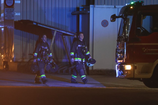 Brand bei einem Unternehmen in Wels-Lichtenegg sorgte f�r Einsatz zweier Feuerwehren