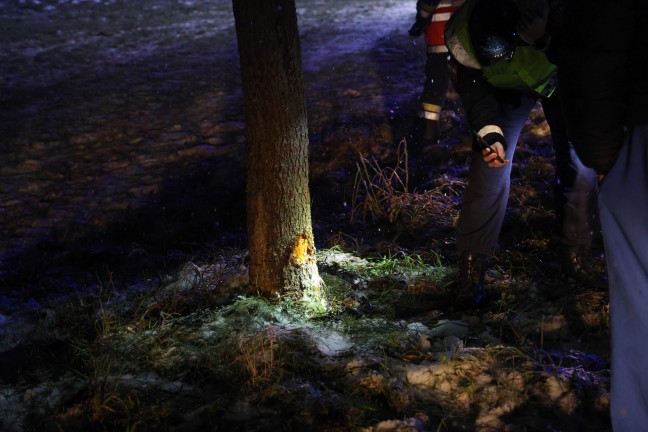 Auto bei Verkehrsunfall in Thalheim bei Wels gegen Baum gerutscht