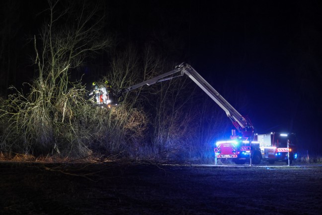 Baum umgest�rzt: Feuerwehr mit Teleskopmastb�hne in Steinerkirchen an der Traun im Einsatz
