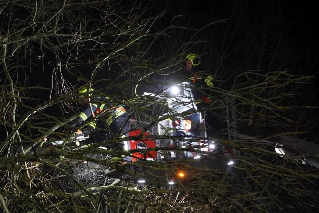 Baum umgest�rzt: Feuerwehr mit Teleskopmastb�hne in Steinerkirchen an der Traun im Einsatz