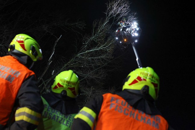 Baum umgest�rzt: Feuerwehr mit Teleskopmastb�hne in Steinerkirchen an der Traun im Einsatz