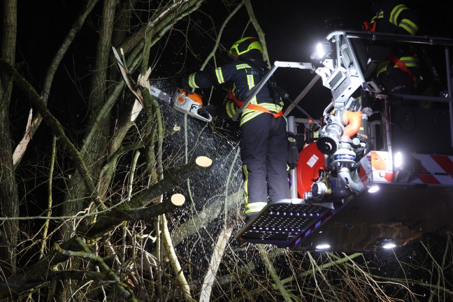 Baum umgest�rzt: Feuerwehr mit Teleskopmastb�hne in Steinerkirchen an der Traun im Einsatz
