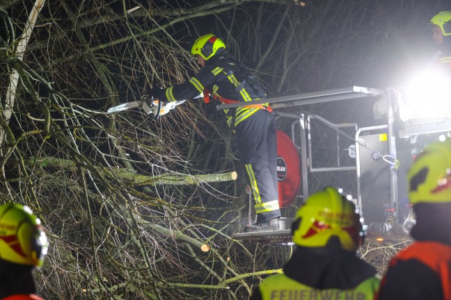 Baum umgest�rzt: Feuerwehr mit Teleskopmastb�hne in Steinerkirchen an der Traun im Einsatz