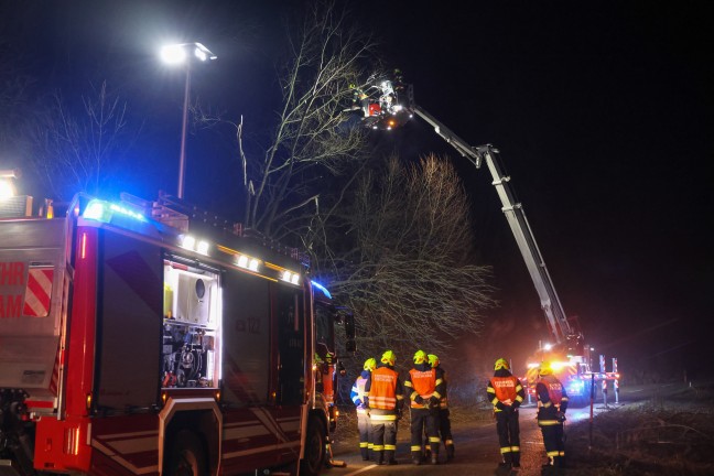 Baum umgest�rzt: Feuerwehr mit Teleskopmastb�hne in Steinerkirchen an der Traun im Einsatz