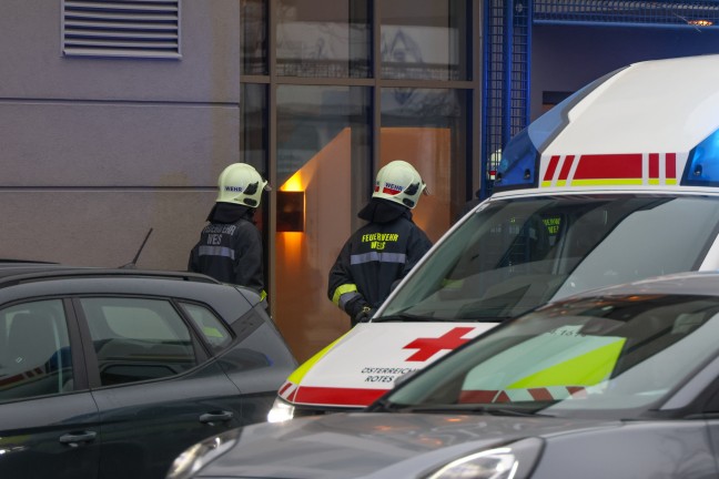 Person in Absturzgefahr: Einsatz bei Wohn- und Gesch�ftsgeb�ude in Wels-Neustadt