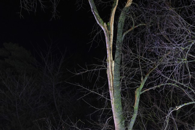 Auto gegen Baum: PKW landete nach schwerem Verkehrsunfall auf Wiener Stra�e bei Gunskirchen am Dach
