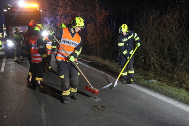 Auto gegen Baum: PKW landete nach schwerem Verkehrsunfall auf Wiener Stra�e bei Gunskirchen am Dach