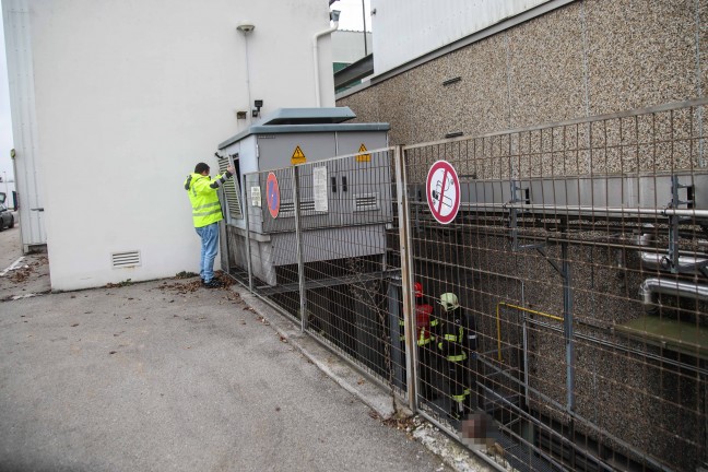Feuerwehreinsatz: Gemeldete Rauchentwicklung unter Trafostation bei Unternehmen in Wels-Vogelweide
