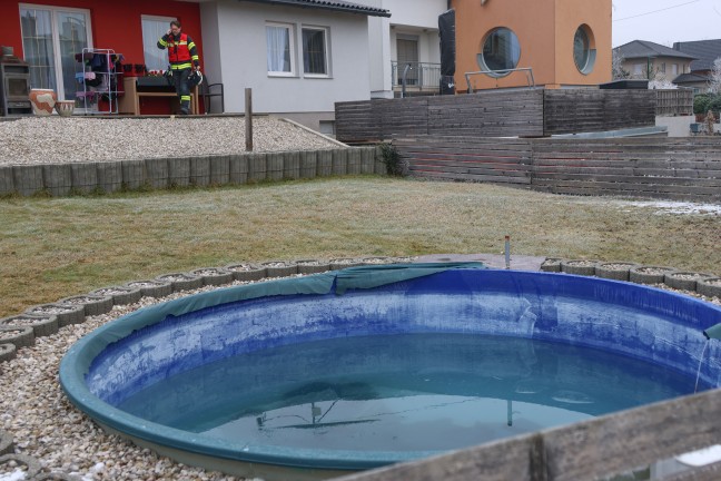 Tierbergung: Reh in einem Garten in Holzhausen in Pool gest�rzt