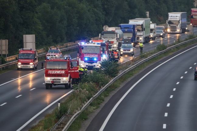 Flurbrand im Grünstreifen der Welser Autobahn durch Feuerwehr gelöscht