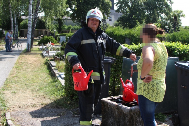 Heckenbrand am Welser Friedhof mit Gießkannen bereits weitgehend abgelöscht