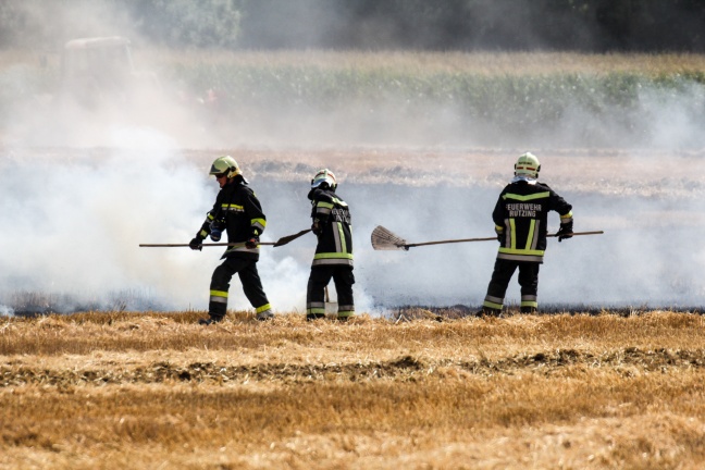 Drei Feuerwehren bei Brand eines abgeernteten Feldes in Hörsching im Einsatz
