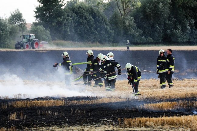 Drei Feuerwehren bei Brand eines abgeernteten Feldes in Hörsching im Einsatz