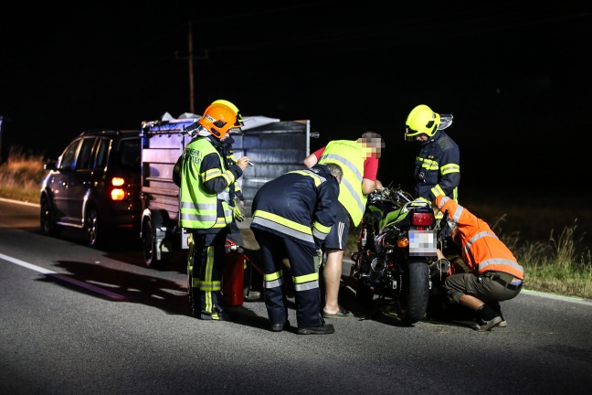 Motorradfahrer bei Kollision mit entlaufenem Pferd tdlich verletzt