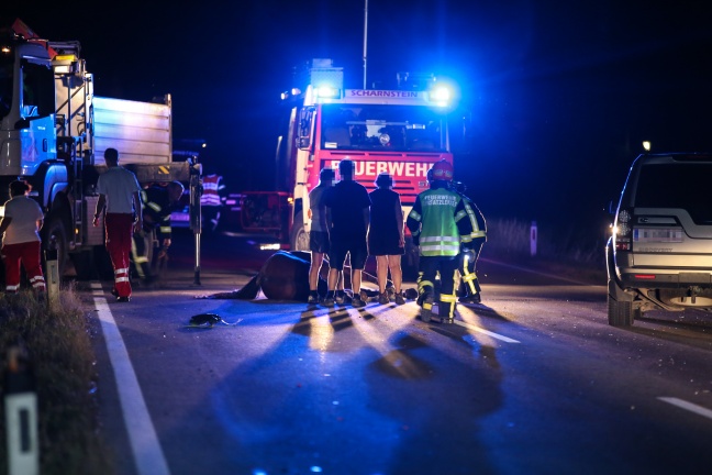Motorradfahrer bei Kollision mit entlaufenem Pferd tdlich verletzt