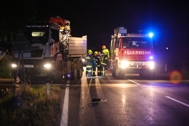 Motorradfahrer bei Kollision mit entlaufenem Pferd tdlich verletzt
