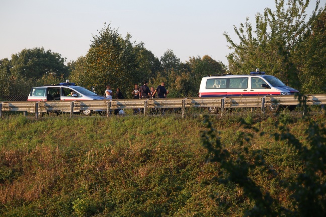 Neuerlich Flüchtlinge auf der Welser Autobahn bei Weißkirchen an der Traun aufgegriffen