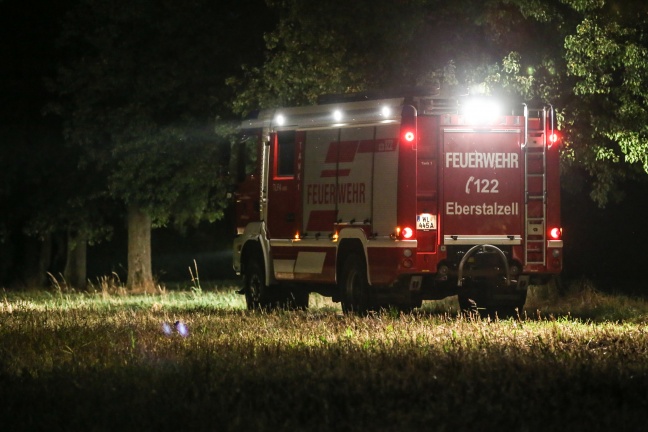 Entlaufener Stier sorgte für Feuerwehreinsatz in Eberstalzell