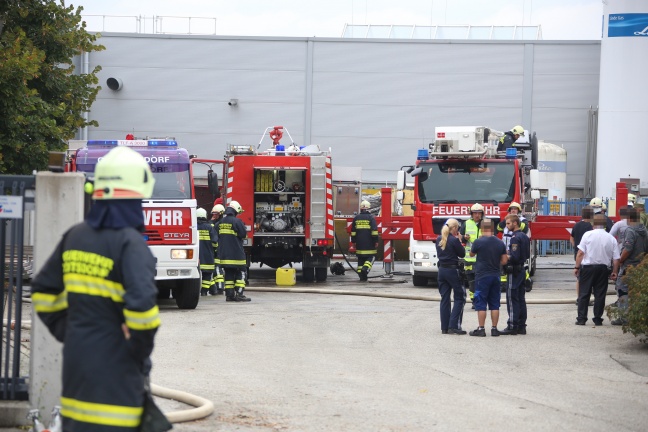 Sechs Feuerwehren bei Brand in einem Unternehmen im Einsatz