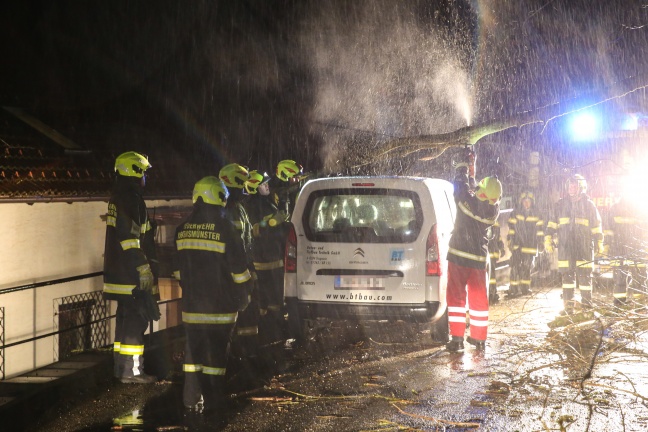 Entwurzelter Baum stürzte auf abgestelltes Fahrzeug und Hausdach