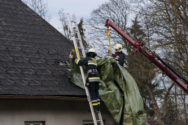 Feuerwehreinsatz: Baum stürzte auf Dach eines Wohnhauses
