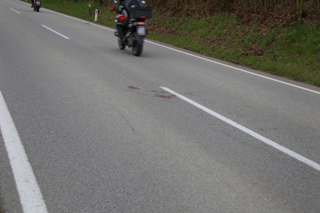 Motorrad kollidierte auf der Eisenbirner Straße in Diersbach frontal mit Reh