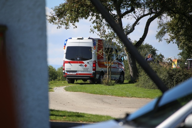 Neun Kinder und eine Frau bei Unfall auf Kindererlebnishof in Steinerkirchen an der Traun verletzt