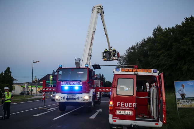 Feuerwehr musste durch Heuballentransport beschädigte Ampelanlage in Sattledt reparieren