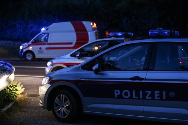 Alkoholisierter Mopedlenker bei Sturz in Thalheim bei Wels verletzt