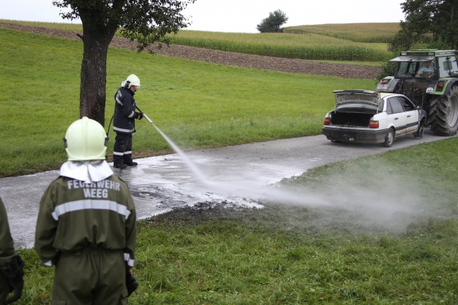 Drei Feuerwehren bei PKW-Brand in Wendling im Einsatz