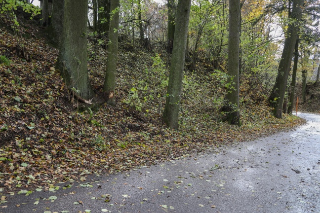 37-jähriger Autolenker in Gaspoltshofen gegen Baum gekracht