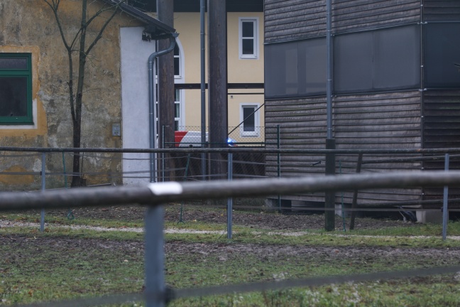 Reitunfall in Stadl-Paura fordert eine Schwerverletzte