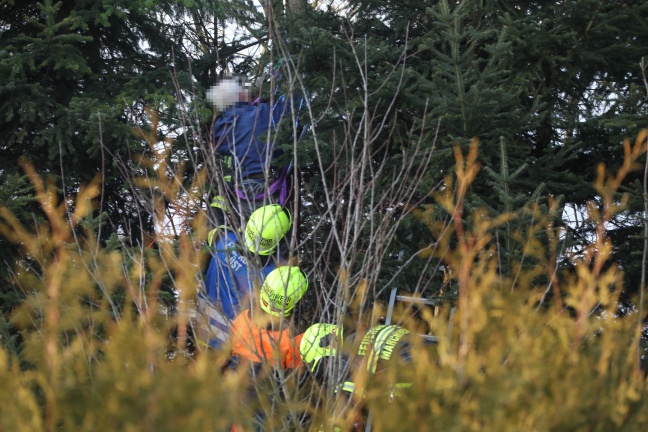 Pensionist nach Unfall bei Gartenarbeiten von der Feuerwehr aus Baum gerettet