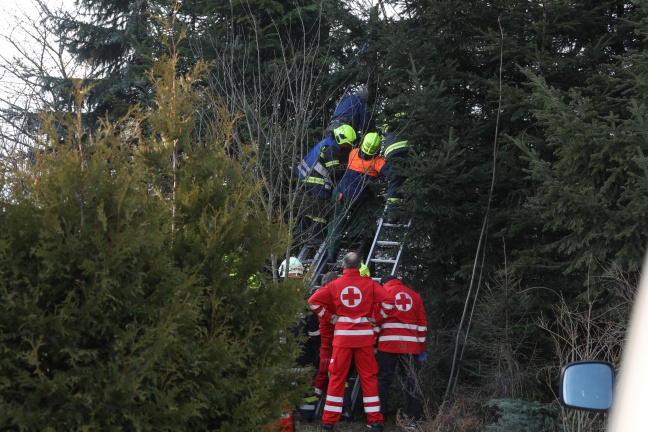 Pensionist nach Unfall bei Gartenarbeiten von der Feuerwehr aus Baum gerettet