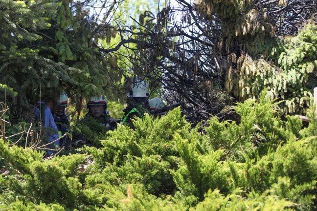 Brand eines Baumes und einer Hecke in Pichl bei Wels
