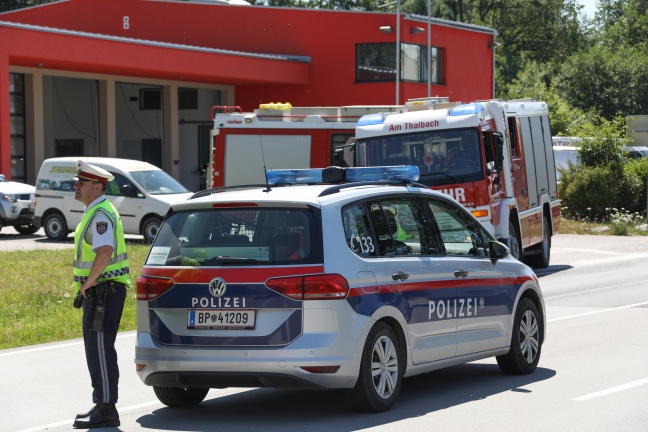 Entlaufene Stiere in Thalheim bei Wels sorgen für Einsatz von Feuerwehr und Beamten der Sondereinheit Cobra