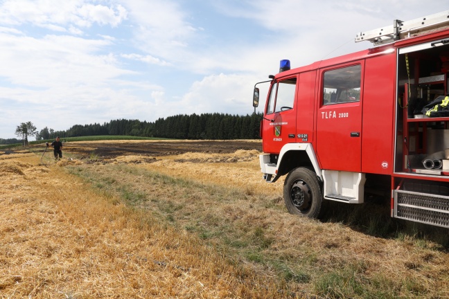 Sieben Feuerwehren bei Feldbrand in Atzbach im Einsatz