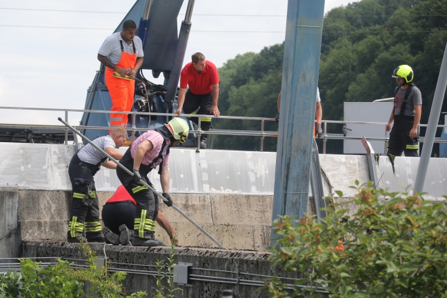 Schwan durch Feuerwehr aus Staukanal des Traun-Kraftwerks in Gunskirchen gerettet
